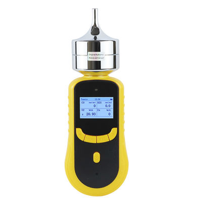 SKY2000 Multi Gas Detector with Built-in Pump CH3Br Detection and IP66 Housing